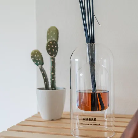 Cocon - Proche Centre-ville Et Cathedrale *