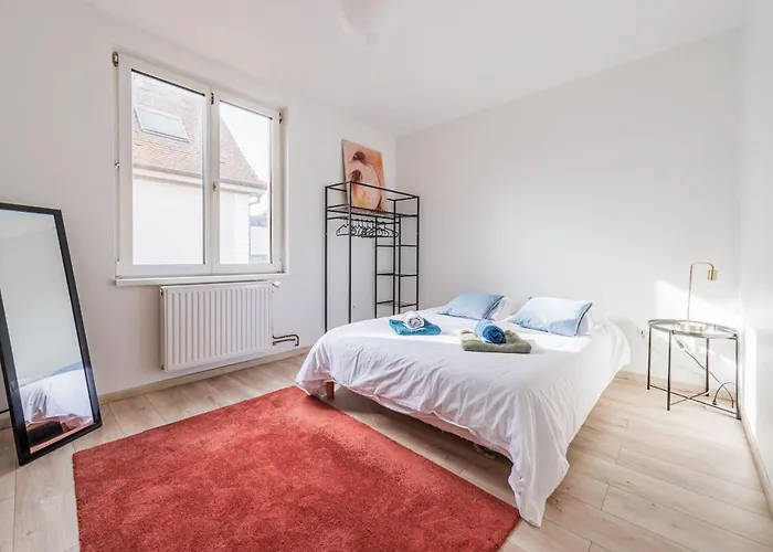 Appartement Cocon - Proche Centre-ville Et Cathedrale Straatsburg