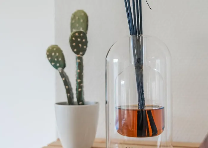 Cocon - Proche Centre-ville Et Cathedrale *